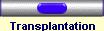 Transplantation